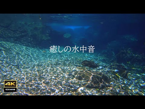 4K自然环境音＋治愈水中影像与水中音效，放松身心必看