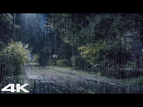 再见压力 _ 美丽的夜晚公园里的大雨和雷声