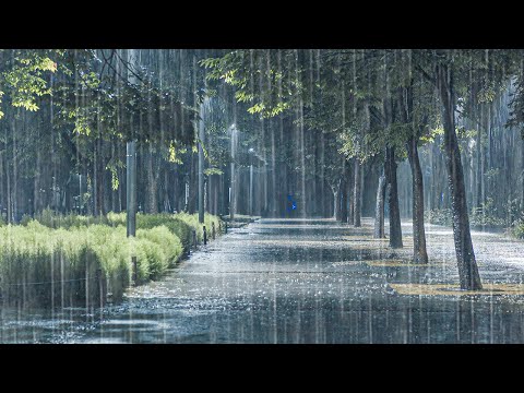 [仅3分钟] 暴雨雨声竟让你像做梦一样瞬间入睡 _ 完全治愈失眠, 深度睡眠必备白噪音ASMR