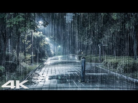 适合睡觉的雷声和大雨声 _ 放松和降噪 _ 战胜失眠