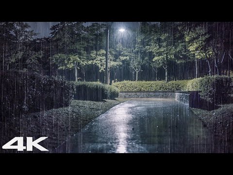 立即深度睡眠_ 舒适的夜晚，公园里响起雷声和大雨声