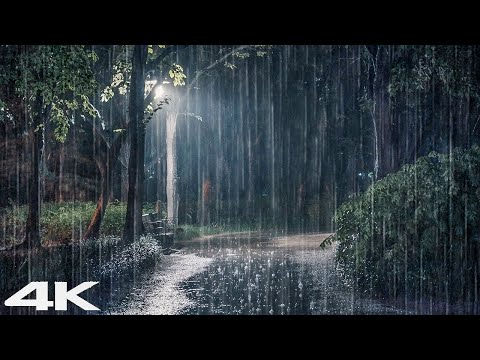 ?睡个好觉 _ 夜间公园雷声大雨