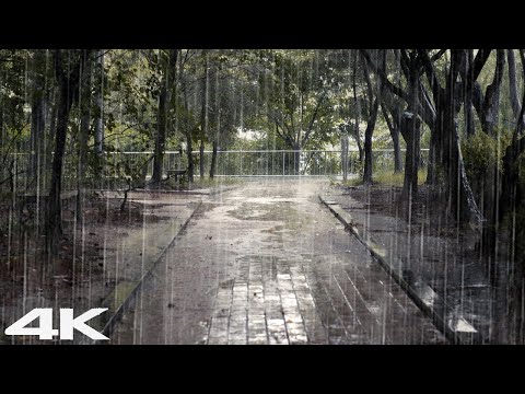 暴雨ASMR快速入睡，缓解压力失眠