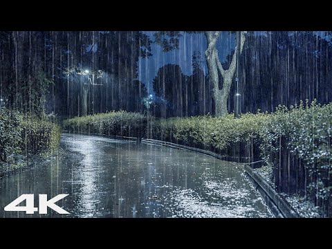 睡觉的大雨声音 _ 放松雨声冥想和睡眠瞬间