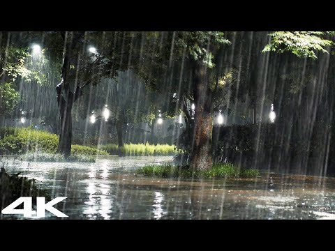 晚上公园下大雨，忘掉失眠，快速入睡