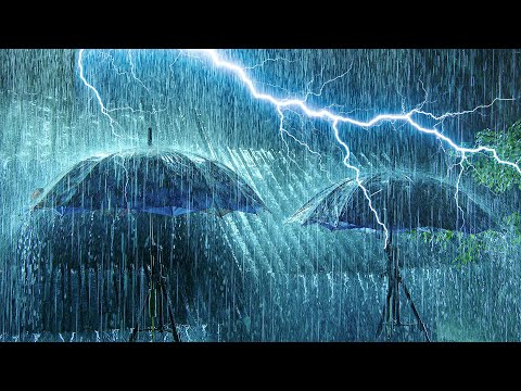 失眠压力全消！夜晚暴雨＋强烈雷声助你安然入睡