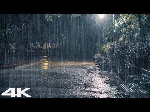 让你入睡_ 轻松的夜晚，公园里响起雷声和大雨声