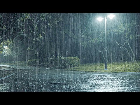 暴雨雨声 ASMR 让你立刻入睡｜耳鸣缓解＋身心瞬间安定