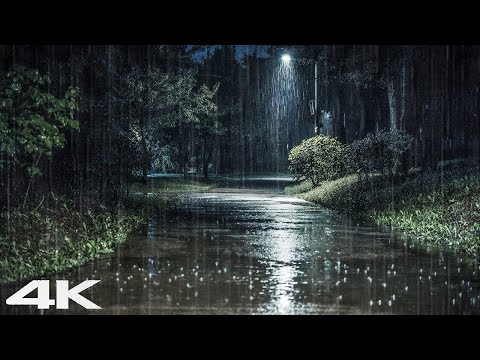 雨夜大雨立马入睡 - 缓解压力 ASMR