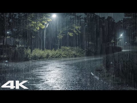 舒适的夜晚，公园里的倾盆大雨和雷声_ 立即入睡并消除压力
