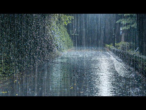 整夜翻来覆去睡不着？雨声治失眠与耳鸣，轻松放松入睡音乐大揭秘