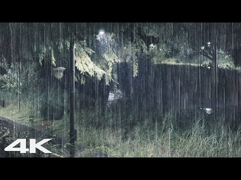 立即放松并入睡 _ 夜间人行道上舒缓的雨声 _ ASMR