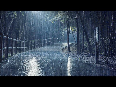 失眠克星！最有效雨声ASMR _ 8小时熟睡保证，耳鸣缓解，暴雨声让你秒入梦乡