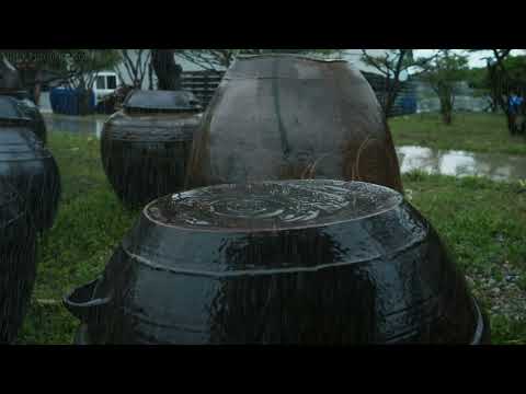 在雨声拥抱寂静的地方，深度睡眠成为宁静的避难所。