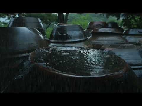 用雨声平息杂念，沉入安宁而深沉的睡眠中。