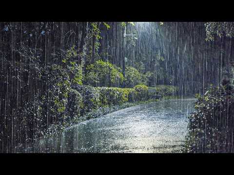 焦虑缓解与耳鸣缓解必听！唯一入睡雨声助你放松ASMR，今晚就能睡得香