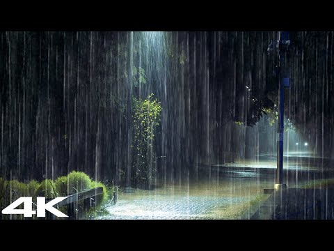 夜间强雷暴雨笼罩公园，告别失眠