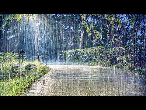 听温和雨声轻松缓解压力！深度睡眠、焦虑缓解、白噪音治愈ASMR一次满足