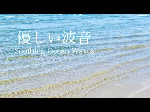 远浅的海的平静细浪｜海的波浪声、温柔的水声竟然如此治愈