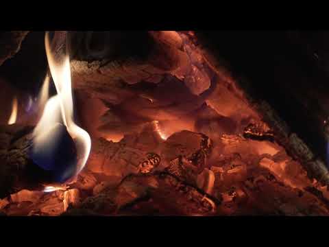 4K ASMR—晚秋夜柴火即将熄灭，昆虫声环绕的治愈现场