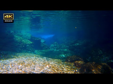 4K自然环境音太治愈了！沉浸式水中影像＋真实水中音，Healing underwater footage