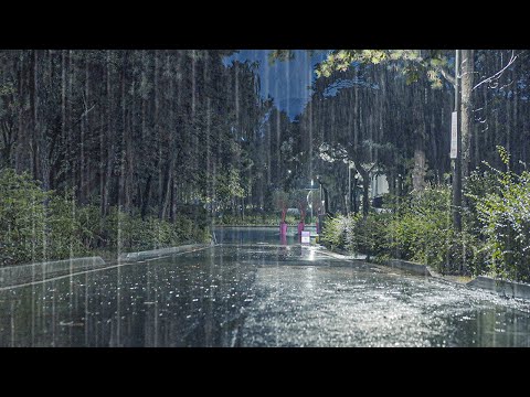 验证过的雨声 ASMR，让你瞬间忘掉烦躁声，缓解耳鸣与压力，轻松进入甜美睡眠