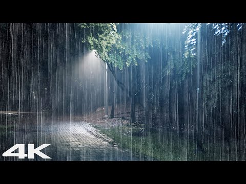 放松失眠的雨声 _ 夜晚安静公园的惬意雨 _ 白噪声 ASMR