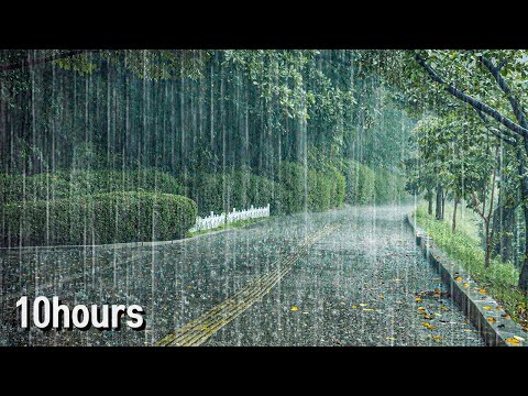 10小时雨暴 ASMR！深度睡眠+失眠缓解必备，4K白噪音帮你瞬间入睡