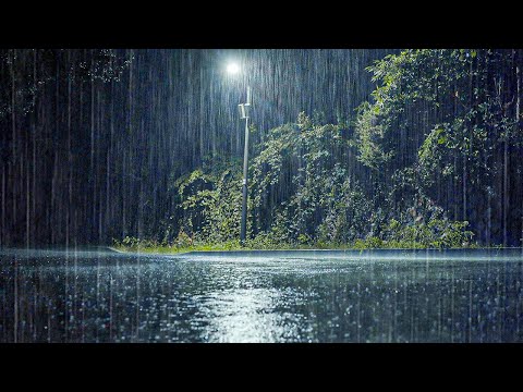 大雨声助眠奇效！立即深度睡眠，轻松缓解失眠与耳鸣
