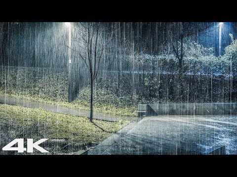 睡得更快、睡得更久 - 夜间大雨和雷声
