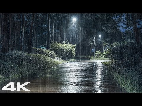 雨夜细雨安心 - 3分钟伴着神奇ASMR入睡