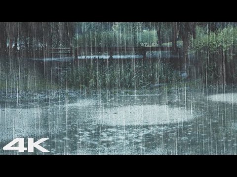 闭上眼睛聆听放松心情 _ 森林里的大雨和雷_ ASMR