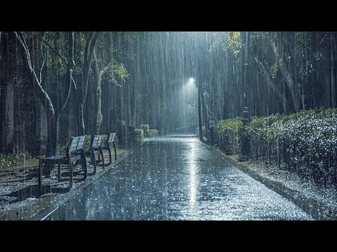 失眠救星！睡眠专家制作的雨声ASMR，暴雨音让耳鸣缓解、压力全消