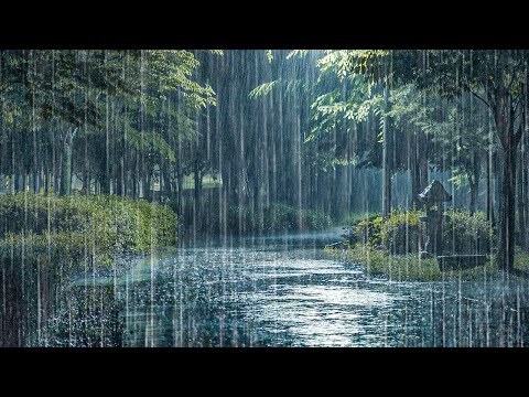 听一秒就能睡的超治愈雨声！暴雨助眠、失眠克星、保证深度熟睡 ASMR