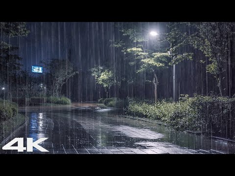 3 分钟内轻松冥想和睡眠 _ 舒适的夜晚，公园里响起雷声和大雨声