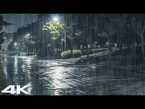 ASMR 雨 4K _ 告别夜间公园大雨和雷声的压力