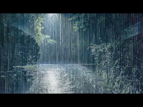 舒适感慢慢渗入！伴随大雨入睡，轻松缓解耳鸣睡眠困扰