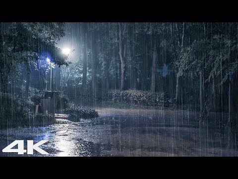 放松并快速入睡 _ 森林公园夜间大雨雷鸣