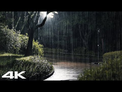 晚上在公园听到大雨声，马上睡个好觉