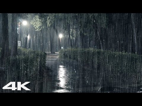 忘记压力和失眠，晚上公园下大雨的声音ASMR