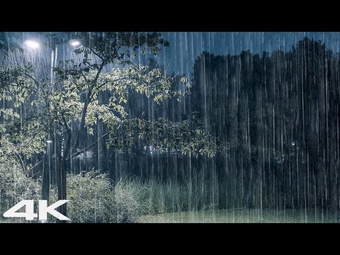 战胜压力和失眠 _ 夜间公园雷暴和大雨的声音 _ 马上睡觉