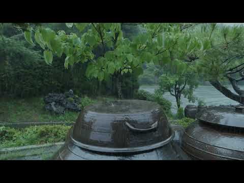 雨声融化压力，安抚心灵，引你进入深沉而安宁的睡眠。