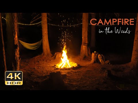 4K HDR 森林中的篝火：噼啪火焰声 & 蟋蟀声音让人沉浸，放松的夜间露营氛围太治愈了！