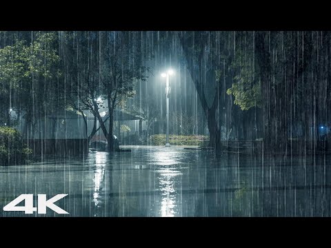 3 分钟内入睡 _ 晚上公园里有舒缓的雨声 _ 白噪声 ASMR