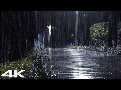 摇篮曲雨声 ASMR _ 快速入睡的冥想和失眠