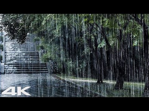 3分钟快速入睡_ 森林公园强暴雨雷声