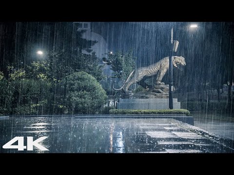 4K自然视频_ 强烈的雷声和大雨声适合睡觉_ 再见失眠