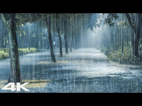 雨天雷雨天也能睡个好觉 _ 暴雨，失眠治愈，深度睡眠
