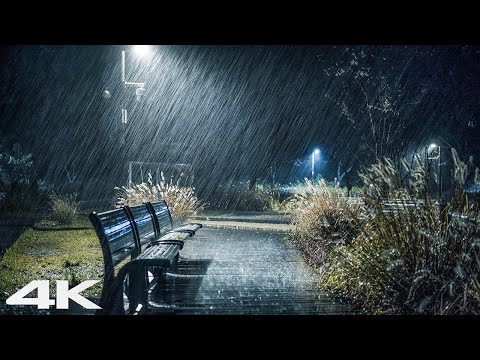 秋夜暴雨告别失眠 - 治愈系雨声 ASMR
