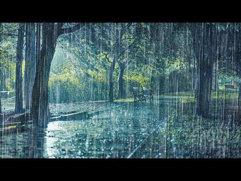 听一秒就睡着！深度睡眠保证雨声，暴雨声缓解失眠、瞬间安定心灵